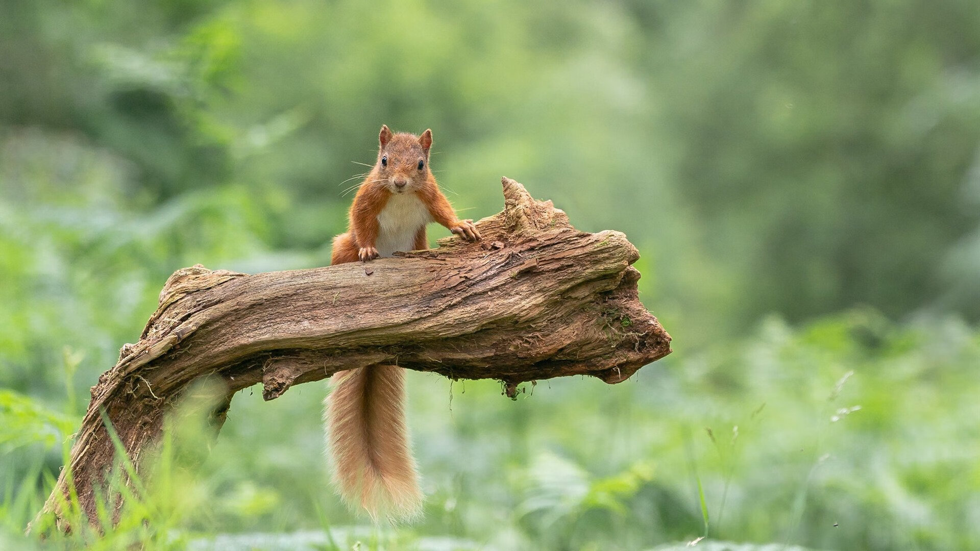 开云入口-_年度盛宴：世界顶尖选手争夺桂冠，热血开启！_，世界顶级选手