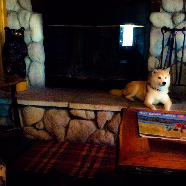 开云下载-_网球比赛的裁判制度变革，增强赛事公平性_，简述网球裁判规则400字