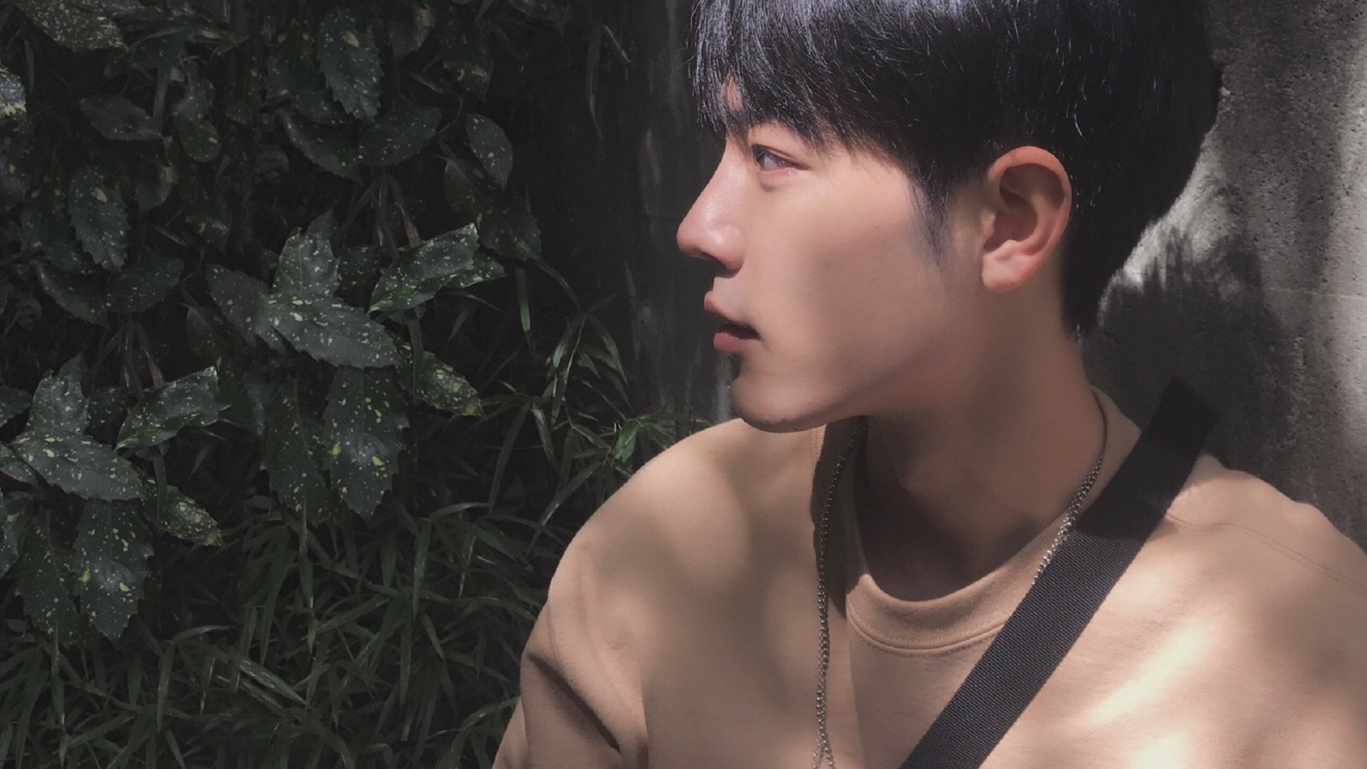 开云官网首页-“战术大碰撞：教练如何调兵遣将扭转乾坤？”，教练战术板下载