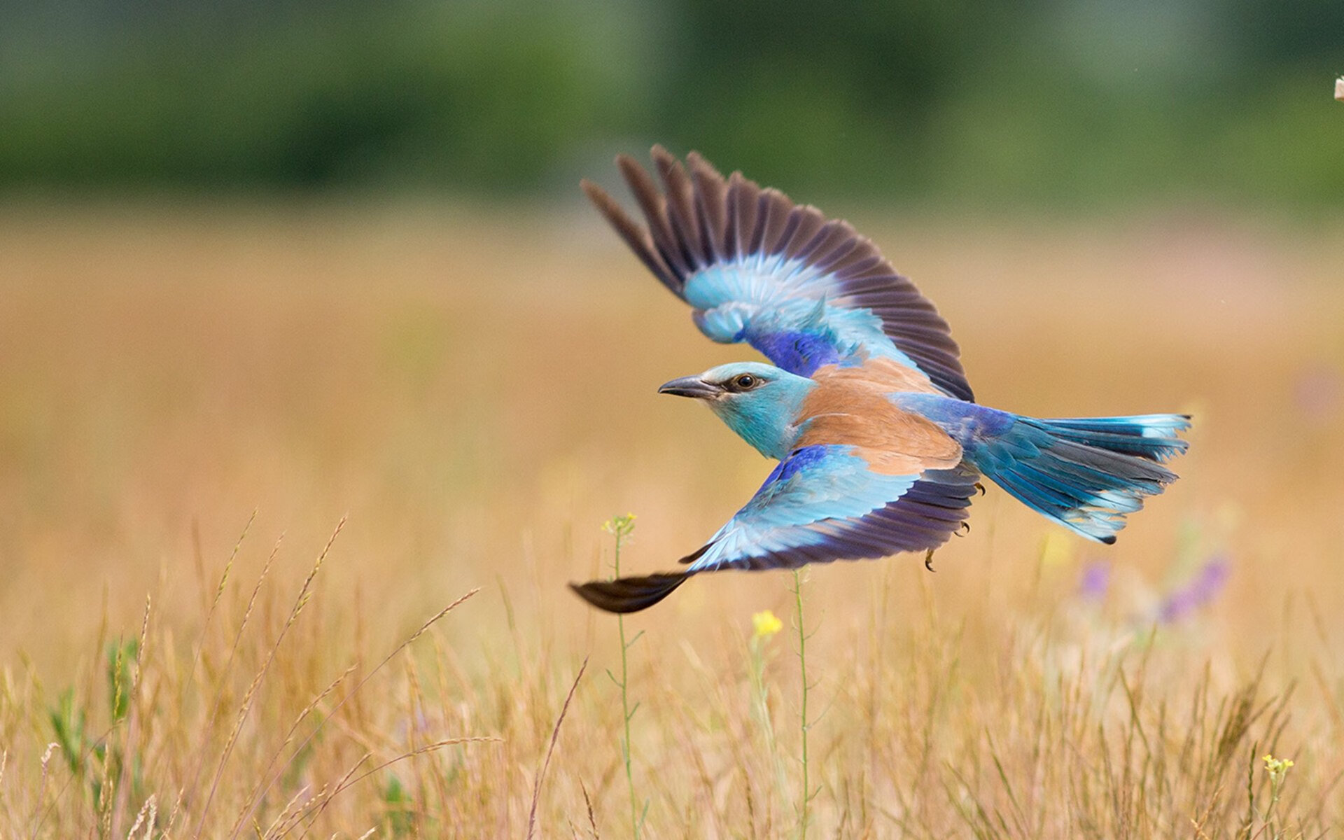 开云网页版登录入口-“逆风翻盘：逆境中爆发的球队故事”，逆风翻盘的人都有这个特点