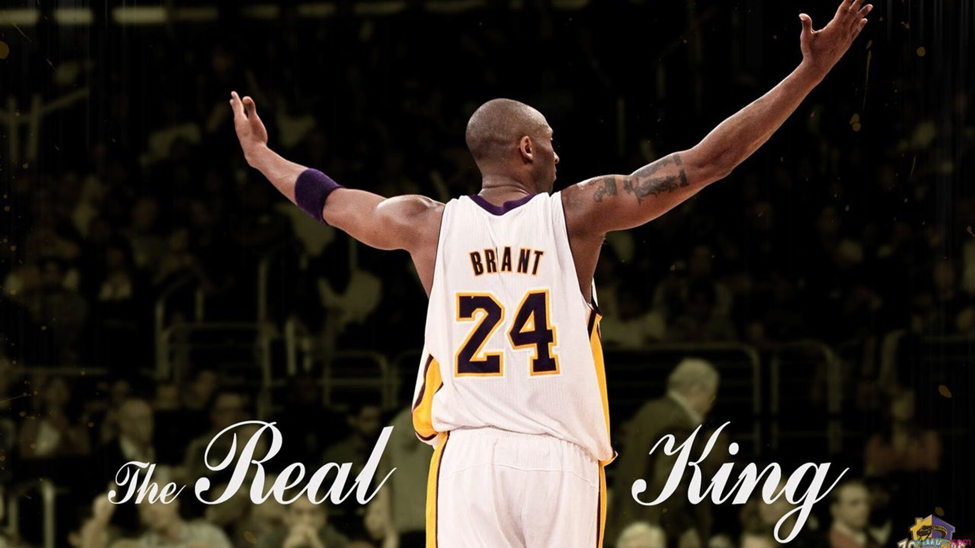 开云入口-《创新比赛规则：提升公平性与观赏性的平衡点》，创新类的比赛