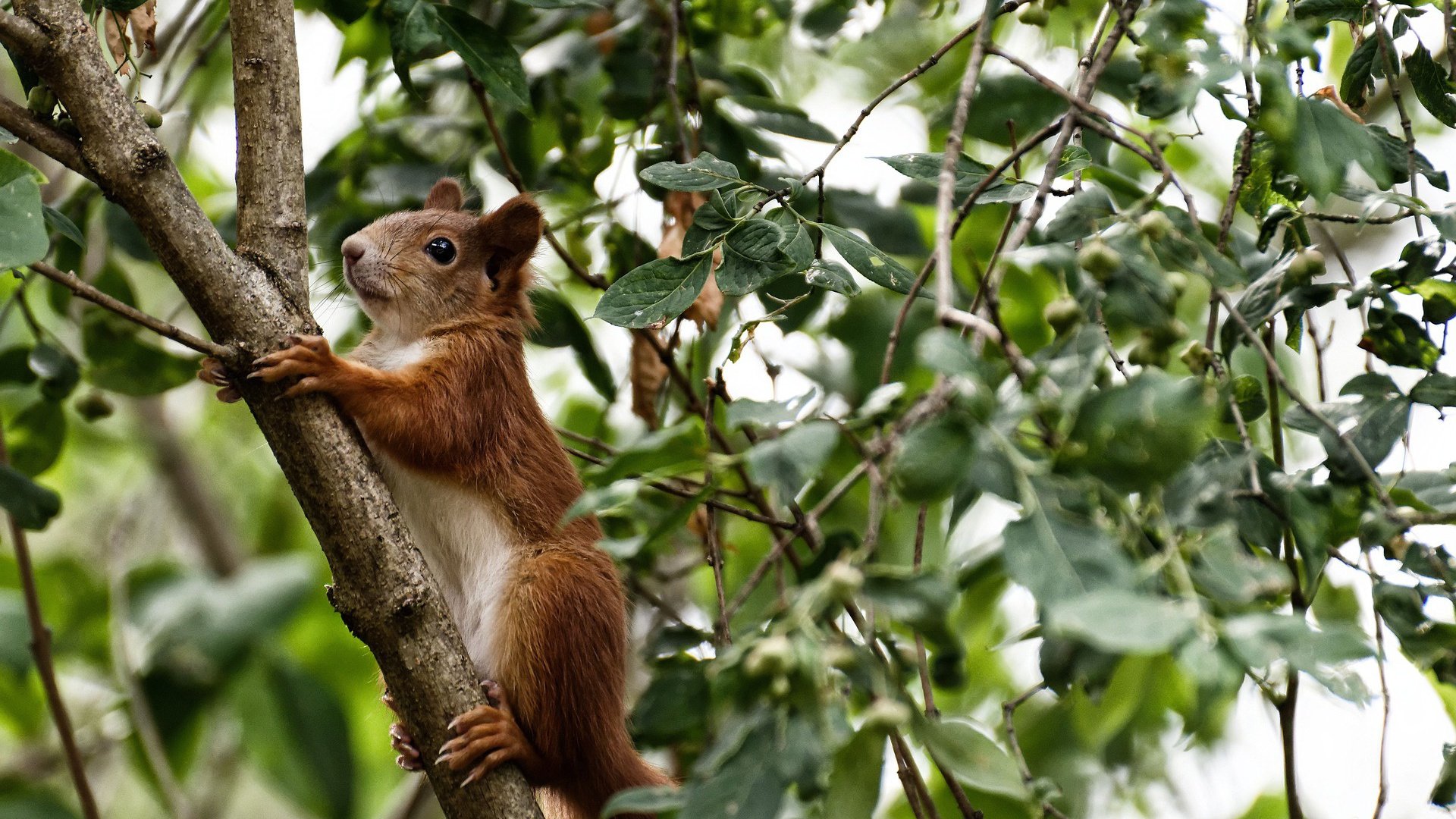 开云网页版-太空狼人杀未来之战全球邀战赛预热