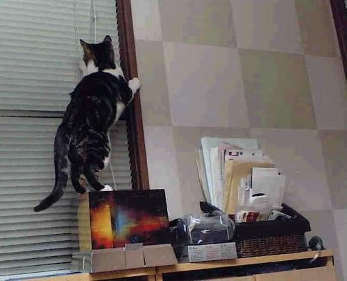 开云APP-电竞选手如何规划职业生涯：目标明确与长期发展，电竞的职业生涯规划