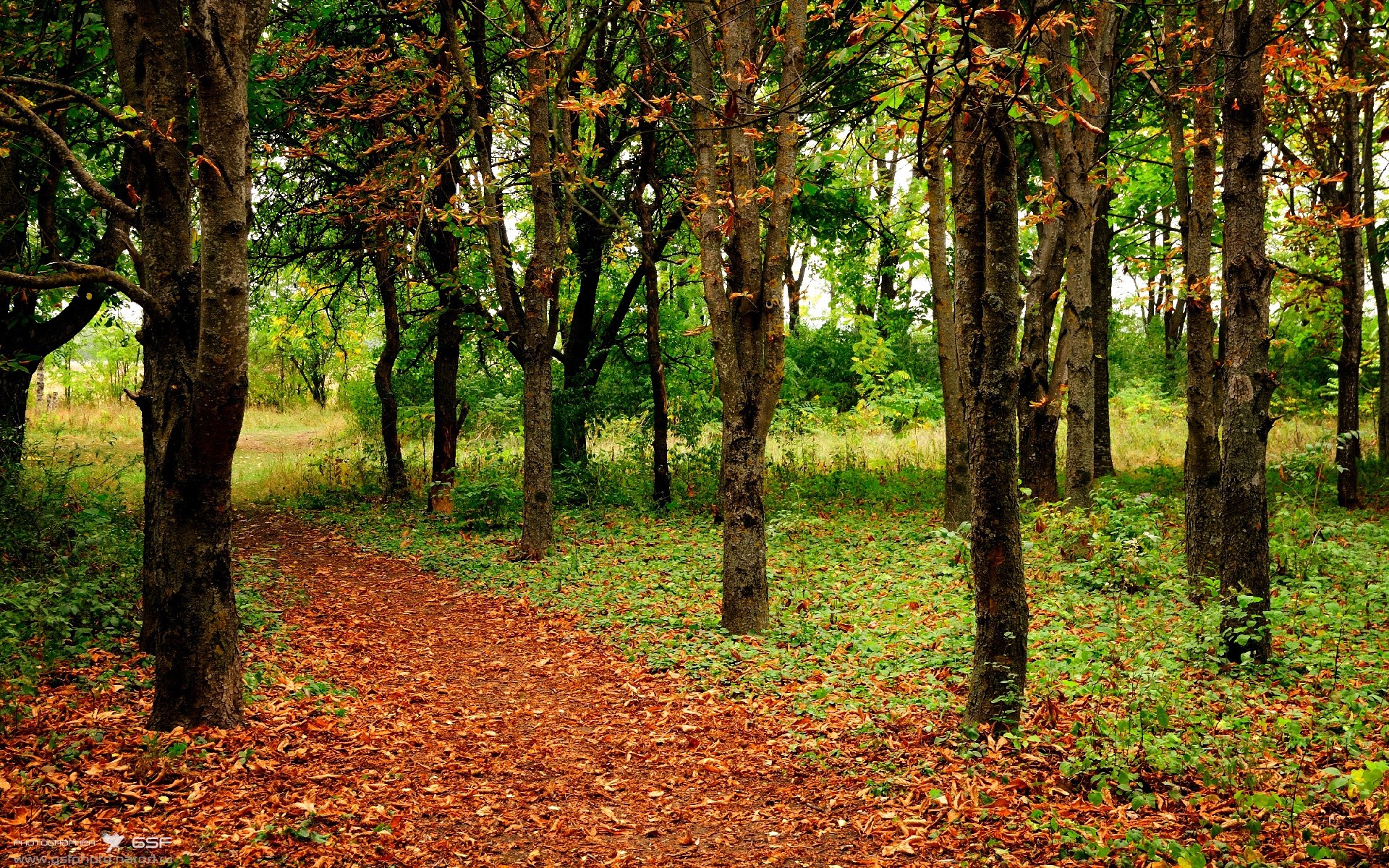 kaiyun网站-绿色环保篮球：联盟推动低碳运动新理念，绿色低碳节能环保的标语