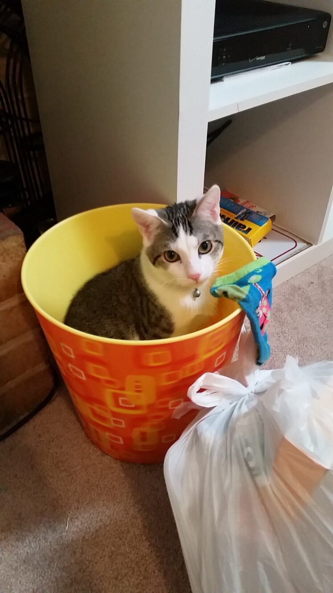 开云官网-青少年电竞教育体系逐步完善，助力行业健康可持续发展，鼓励青少年电竞