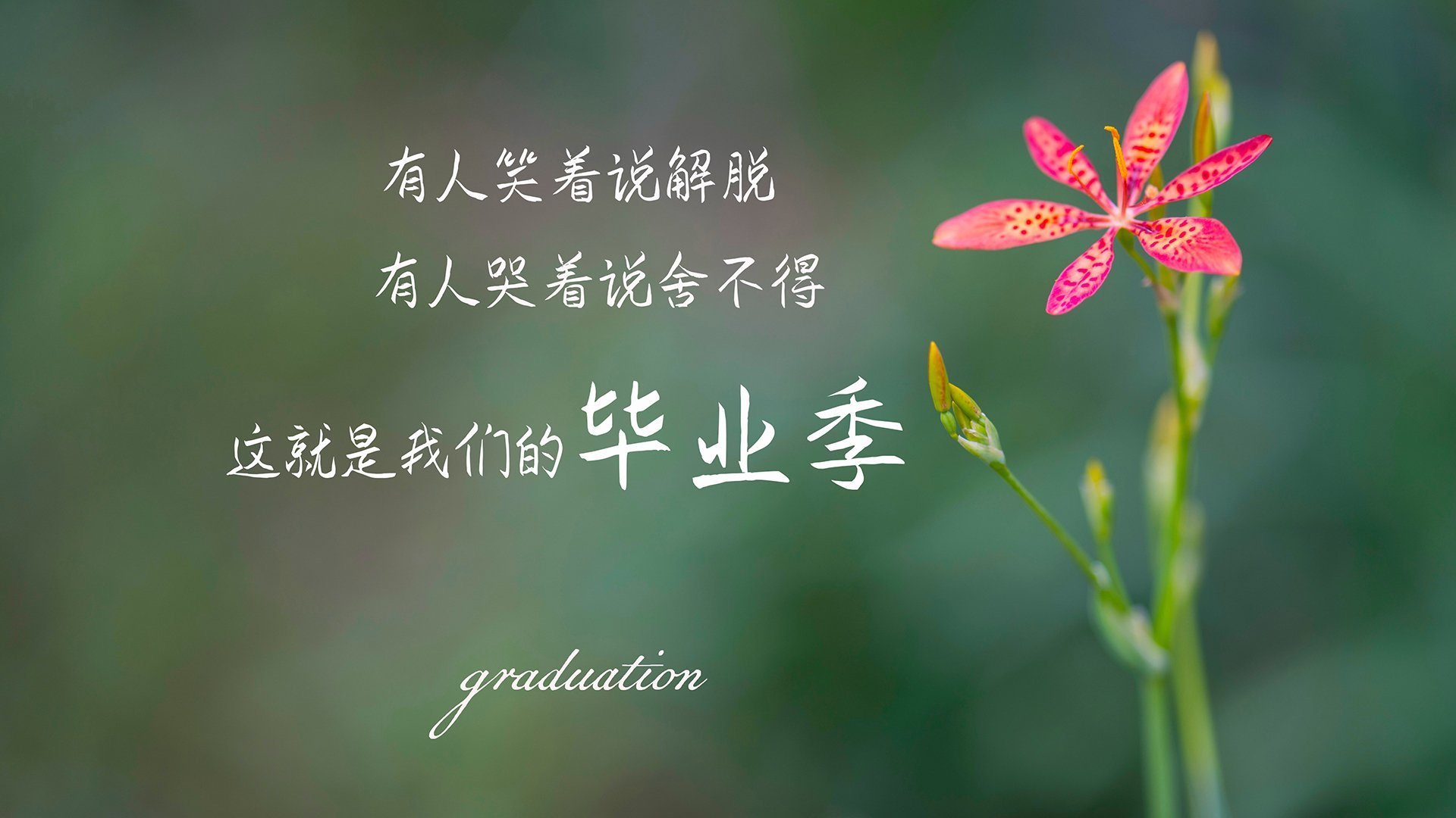 kaiyun体育app-WNBA年轻球员崛起势头强劲，nba现役年轻球员名单