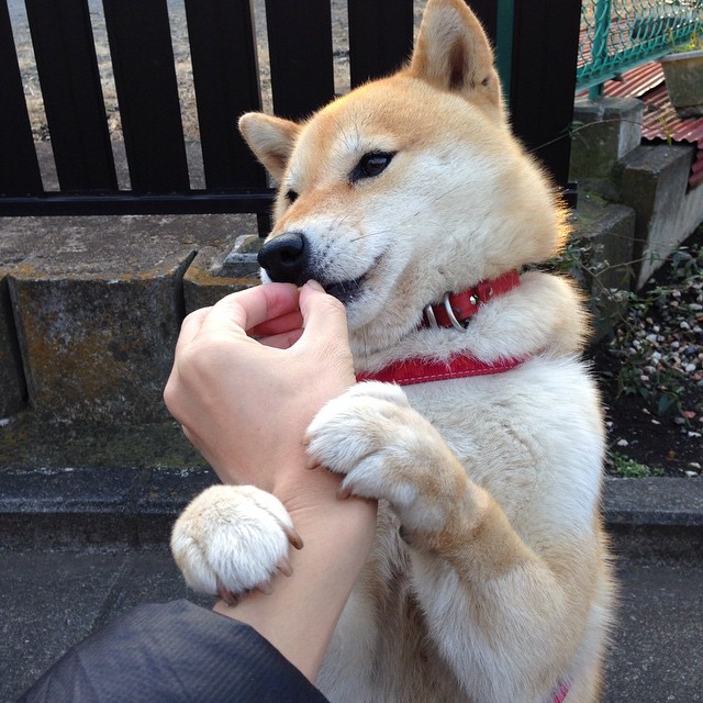 开云网页版-两支强队对决，国足成功击败对手晋级四强，国足四强赛