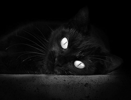 开云体育视频直播-勒沃库森主场1-1战平拜仁慕尼黑，错失三分，勒沃库森vs拜仁慕尼黑比赛结果