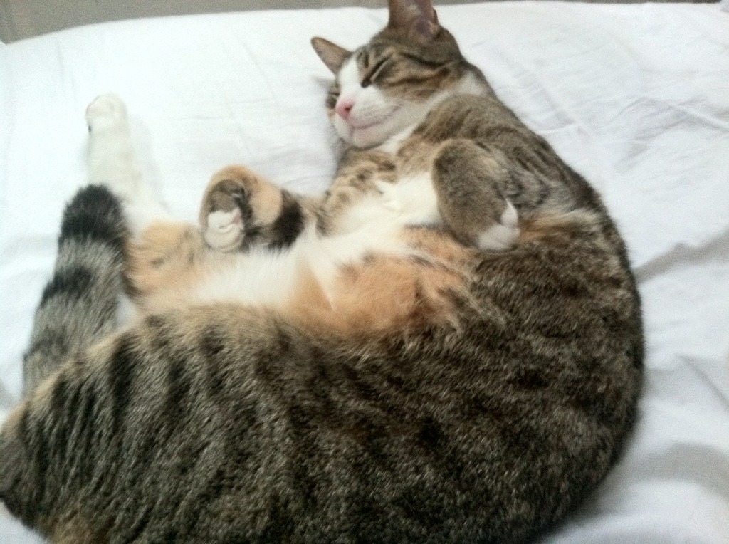 kaiyun登录入口-巴黎圣日耳曼宣布姆巴佩本赛季后离队，姆巴佩几号球衣巴黎圣日耳曼