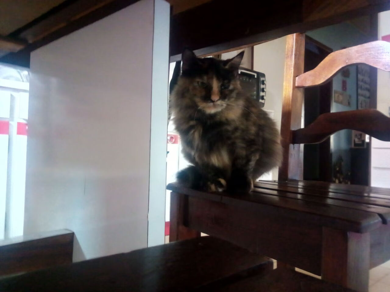 开云入口-赫塔菲击败对手，喜迎积分，走出低迷局面，赫塔菲队员