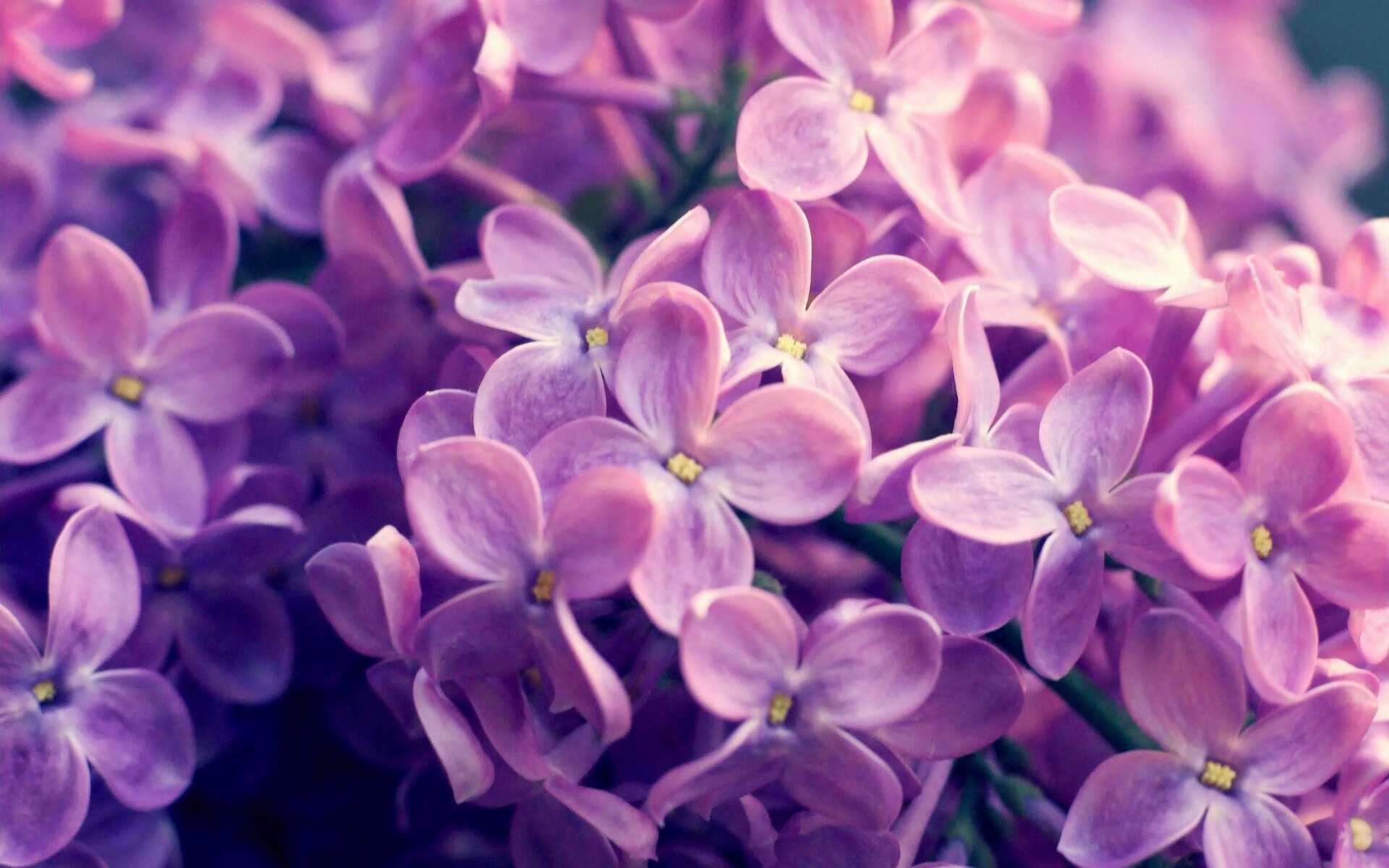 开云·Kaiyun网页版-重庆当代将挑战武汉卓尔，双方对决将会擦出怎样的火花？，重庆当代vs武汉卓尔