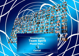 开云全站-球迷盛典：现场氛围与体育精神的融合，球迷知识