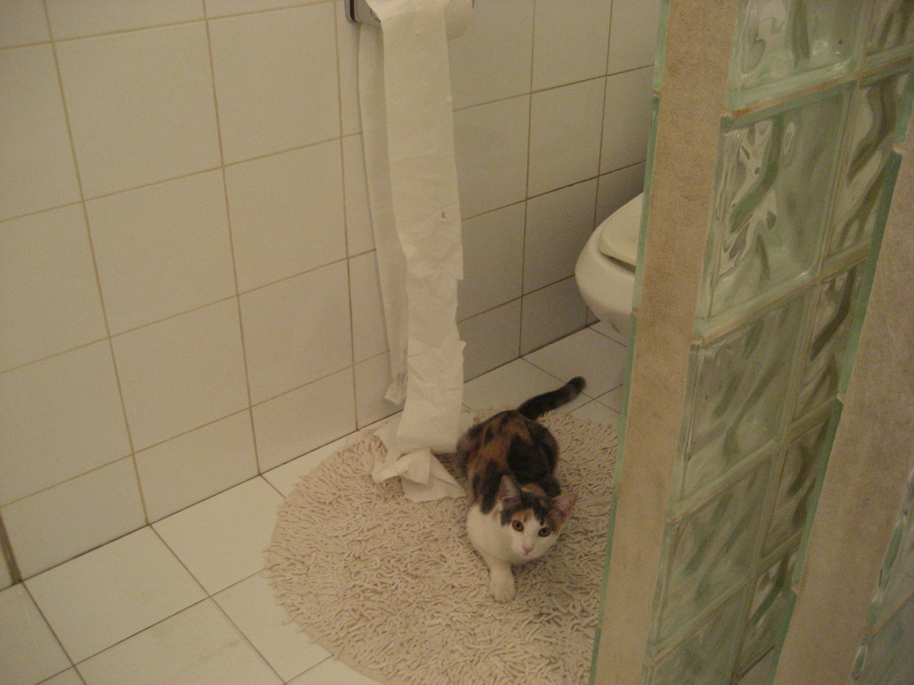 kaiyun官方入口登录-全民健身专项资金覆盖更多边远地区，全民健身政府扶持资金