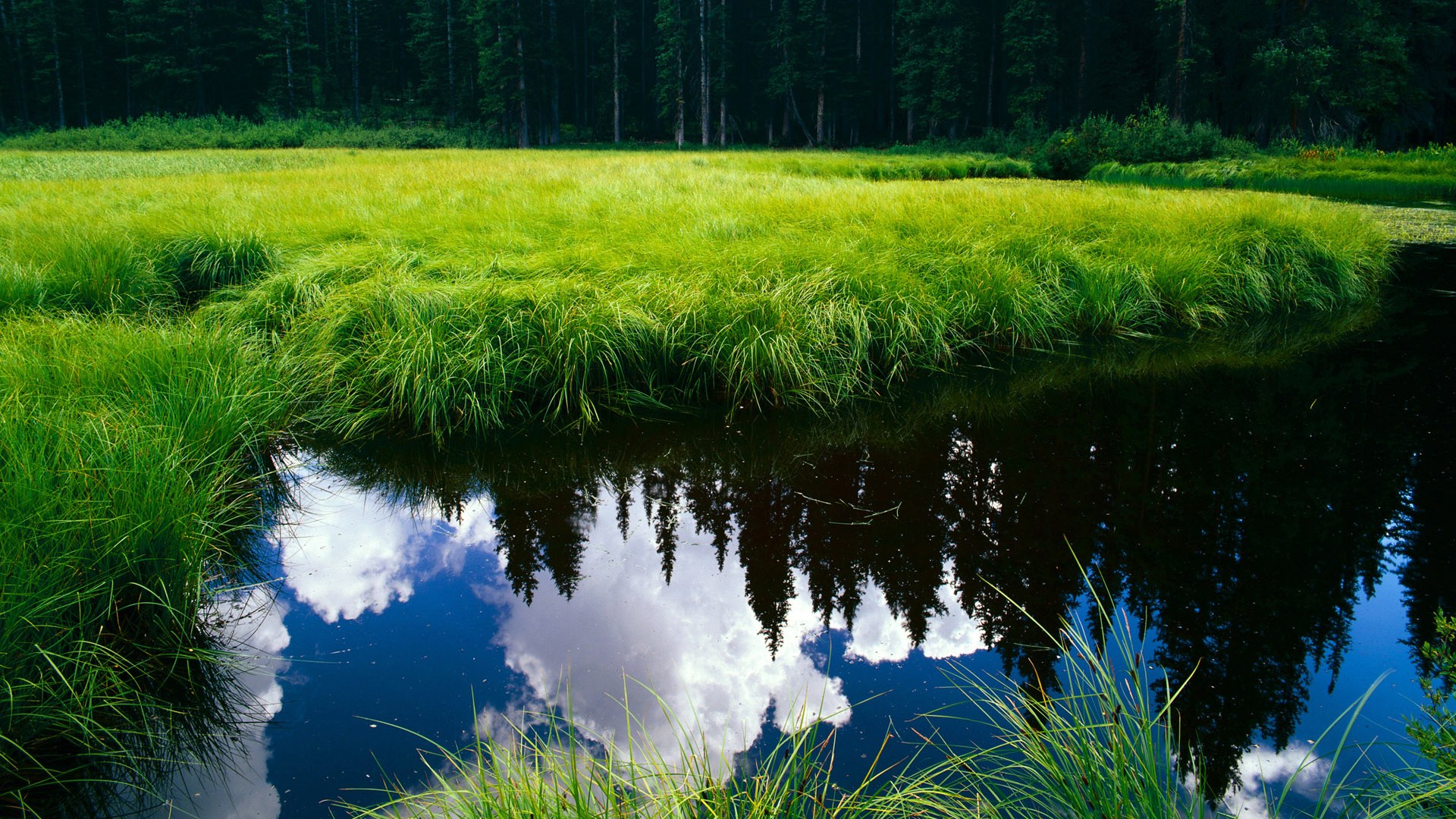 开云下载-巴萨再负争冠形势堪忧，巴萨再负争冠形势堪忧吗