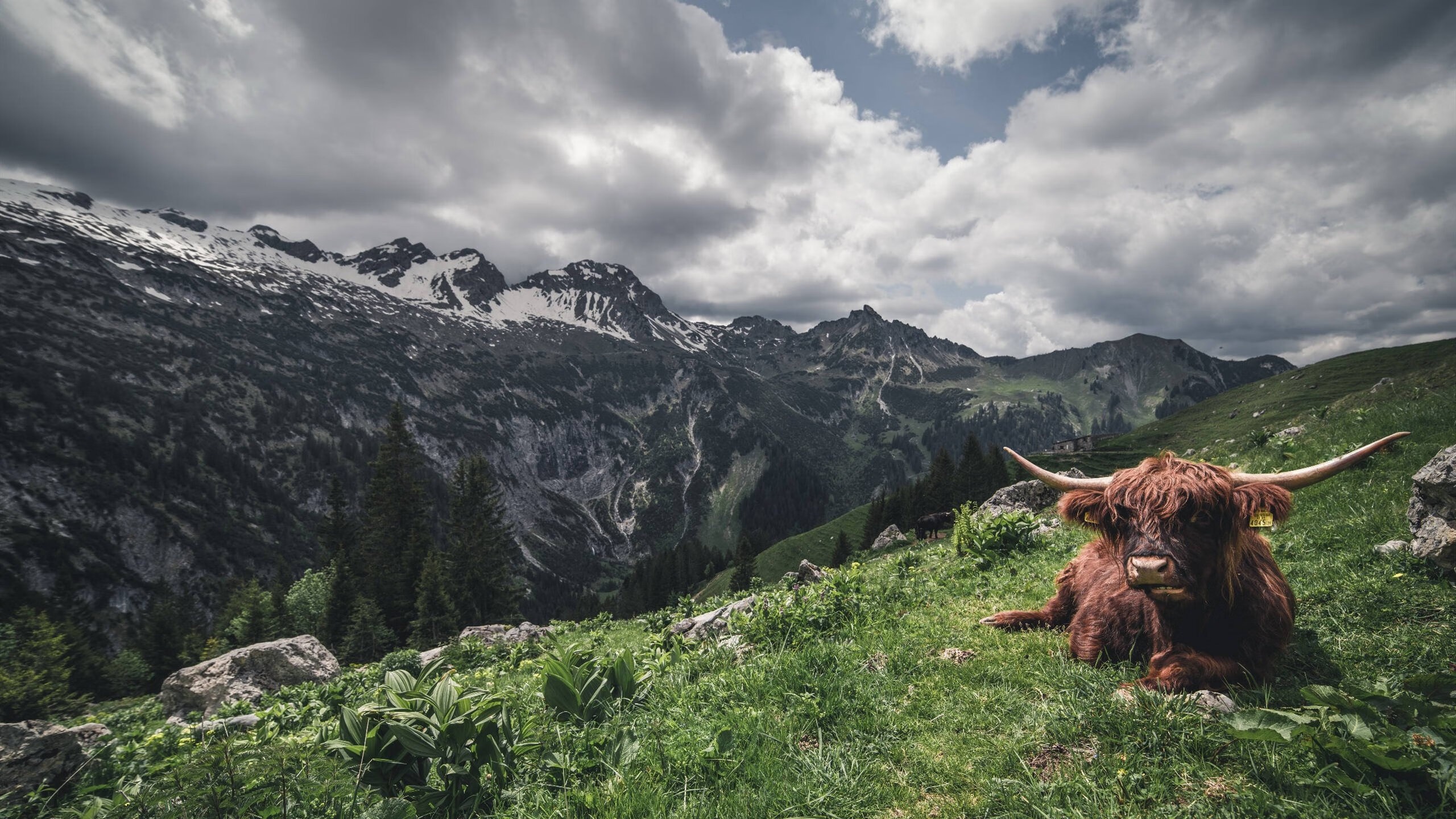 文莱男篮在亚洲锦标赛中奋勇争夺,信心满满